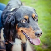 Jessica Stephens's photo