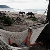 Anela Mahmutovic's photo