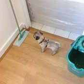 Sandra Koskas's photo