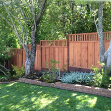 fencing