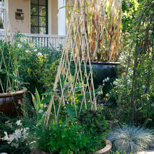 Garden Ideas