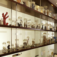 Science Decor