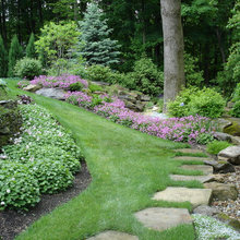 Backyard- Sloping