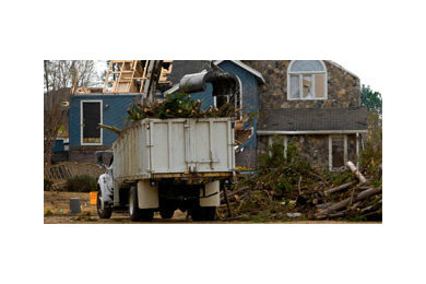 Tree Services