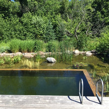 Small Pool