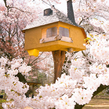 Treehouse