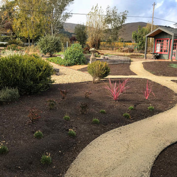 Paths and Planting in Sonoma