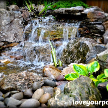 Moss Rock Koi Pond by Full Service Aquatics. Project site West Orange, NJ.