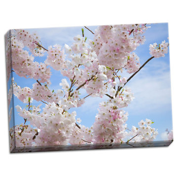 Fine Art Photograph, Spring Blossoms, Hand-Stretched Canvas