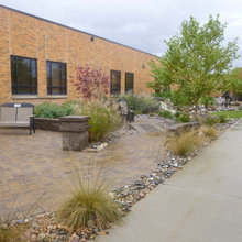 Healing Garden