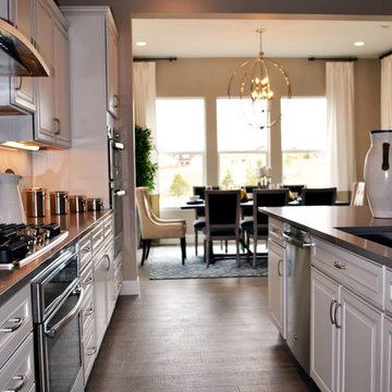 Contemporary Home Remodel | Shea Model #1