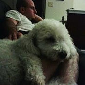 Jaison Tortorea's photo