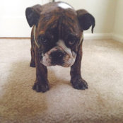 Meg C's photo