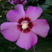 Kathy Pugh's photo