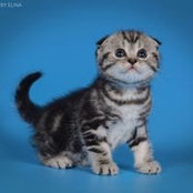Елена Федотова's photo