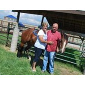 Suzanne Anderson's photo