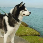 Eman Alsayegh's photo