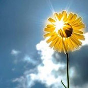 Rich Berry's photo