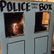Neal Sivula's photo