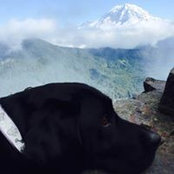 Susan Moore's photo