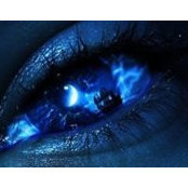 Farida Schoenheide's photo