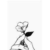 Hadeer Reda's photo