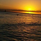 Stephen Harlaさんの写真