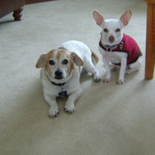 Julie Selinger's photo