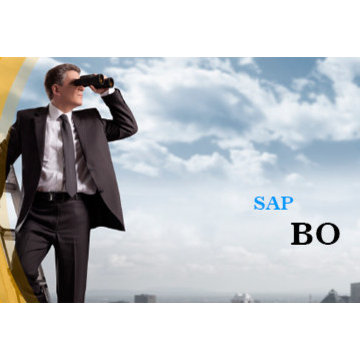 Learn SAP Business Objects  from the experienced, top-tier instructors
