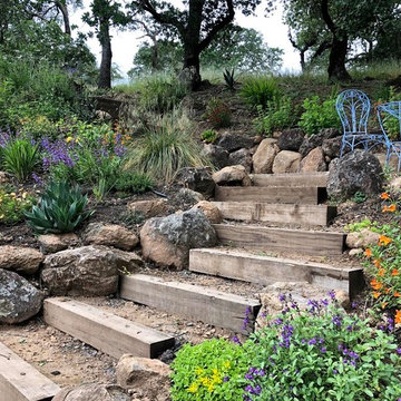 Sonoma County Garden