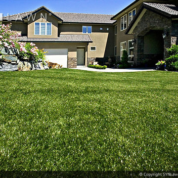 Front Yard Landscapes with Artificial Grass