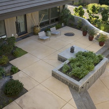 back yard