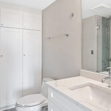 High Rise Luxury Home Remodel