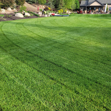 Luxe Landscape Maintenance