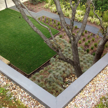 Modern Garden/ Green Roof