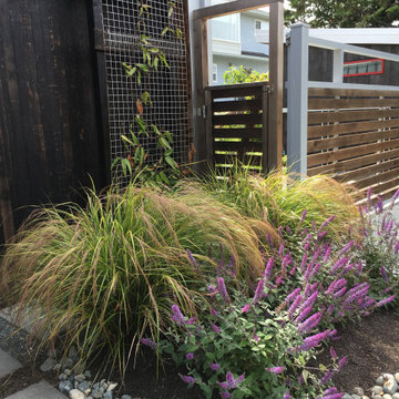 Crescent Food and Medicine Garden