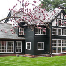 House Color