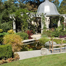 Landscape Ideas