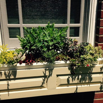 Container Gardens