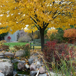 Fall Tree Maintenance (Photo: Aquascapes Inc.) - Products
