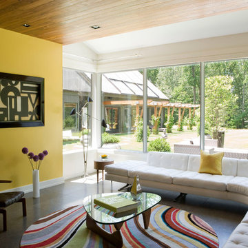 Contemporary Living Room