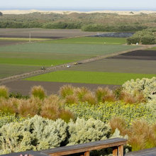 farm