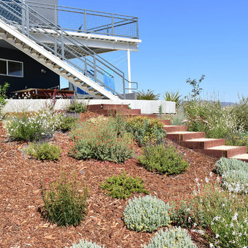Deer Resistant and Slope Stablizing Plantings for Residential Winery