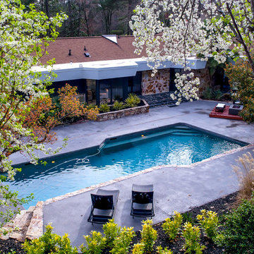 Modern Organic in Buckhead, Georiga