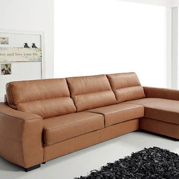 Roy Sectional Sofa Sleeper