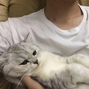 卢广顺's photo