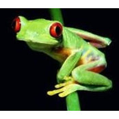 Steve Burke's photo