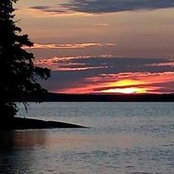 Kathy Lynch's photo
