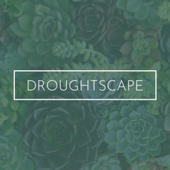 Droughtscape