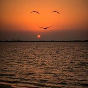 Dena Johnson's photo